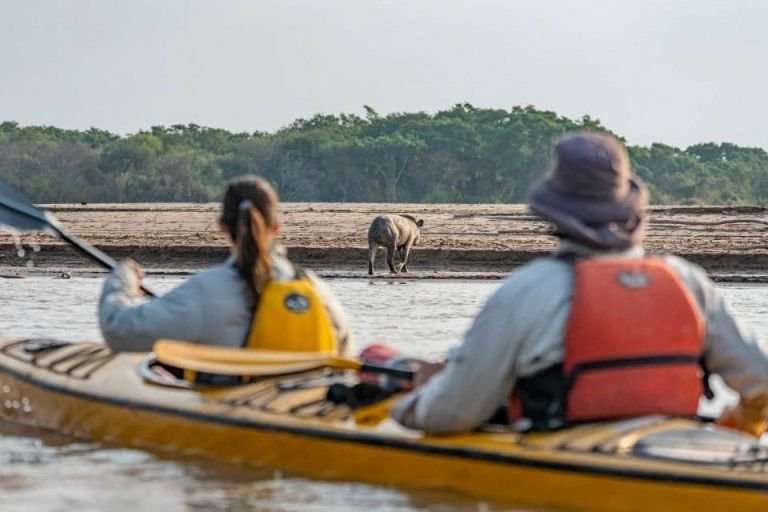Glamping Los Palmares, El Impenetrable, Chaco 4-min
