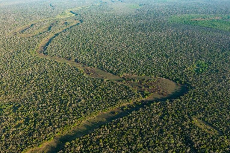 Glamping Los Palmares, El Impenetrable, Chaco 5-min