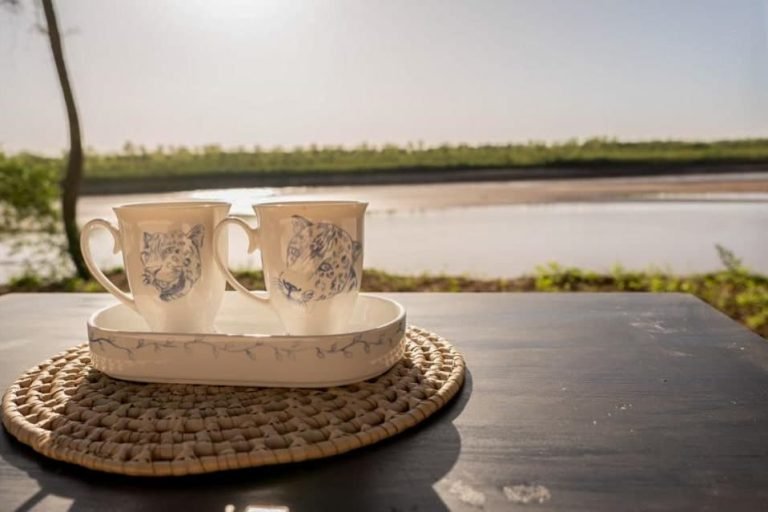 Glamping Los Palmares, El Impenetrable, Chaco 7-min