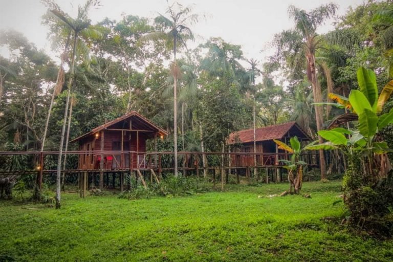 Glamping Mangarito, Iporanga, Sao Paulo 1