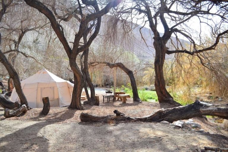 Glamping Miraflores, Elqui, Chile 10