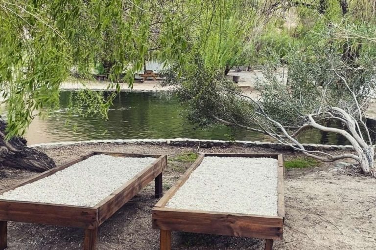 Glamping Miraflores, Elqui, Chile 11