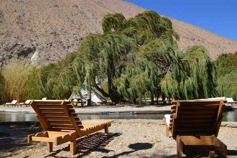 Glamping Miraflores, Elqui, Chile 4