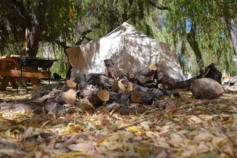 Glamping Miraflores, Elqui, Chile 5