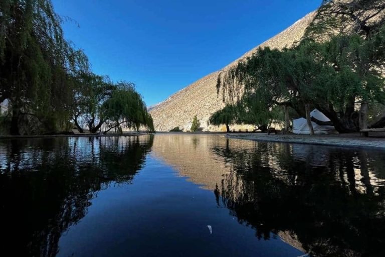 Glamping Miraflores, Elqui, Chile 6