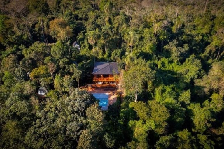 Glamping Selva Iguazú, Misiones 9