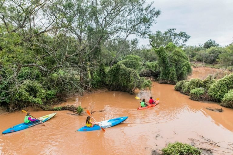 Glamping el Bermejito, Parque Nacional El Impenetrable, Chaco 2-min