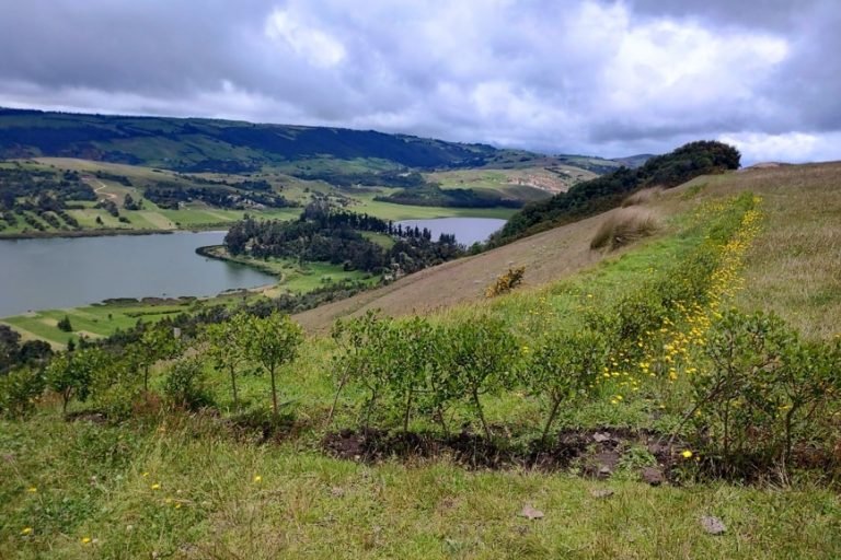 Glampingland, Colombia 4