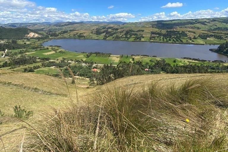 Glampingland, Colombia 8