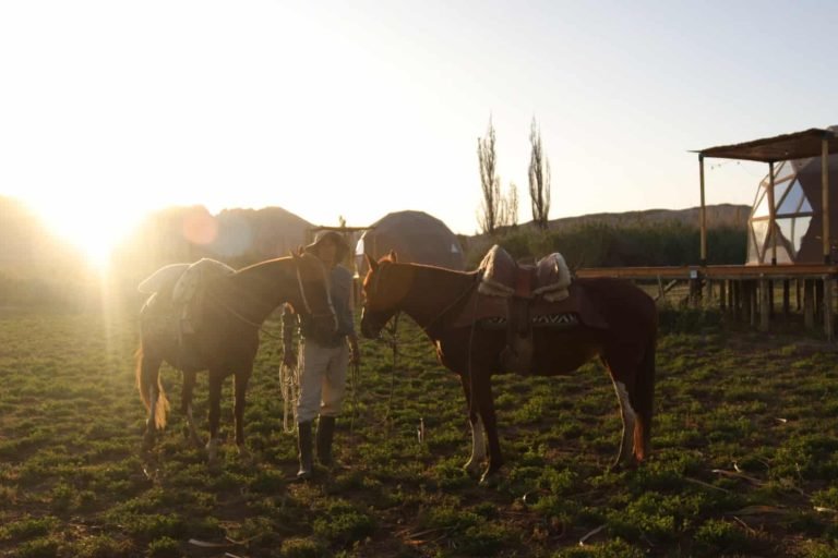 La Colmena, San Carlos, Salta 10