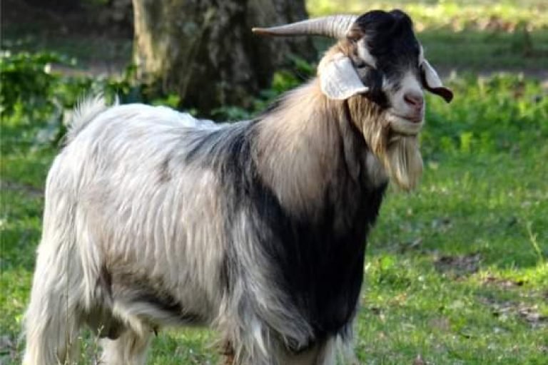 La Reserva, Chascomus, Buenos Aires 10-min