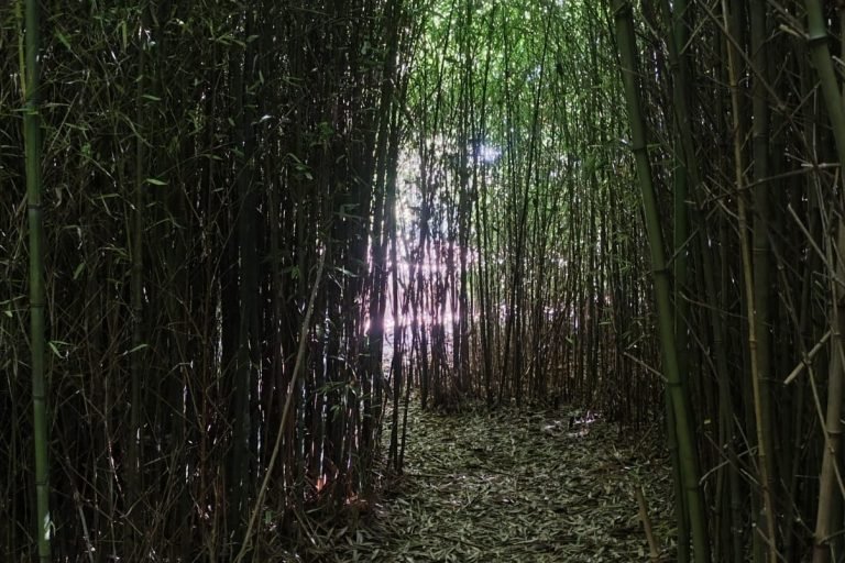 La Viella Glamp, Sierra de los Padres, Mar del Plata 24-
