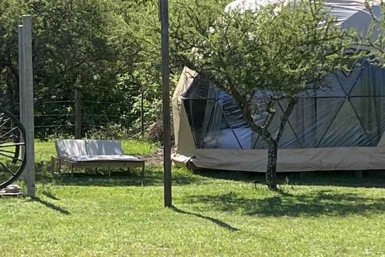 La romelia domo exterior