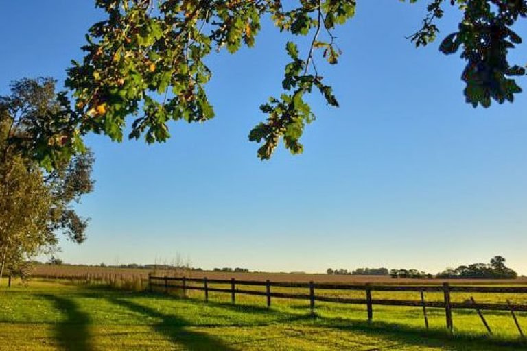Los Vagones de Areco, Vagues, Buenos Aires 2