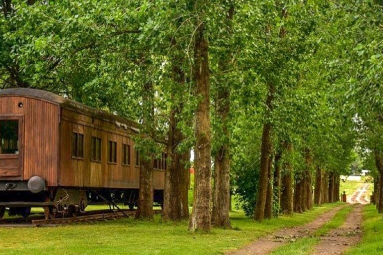 Los Vagones de Areco, Vagues, Buenos Aires 3