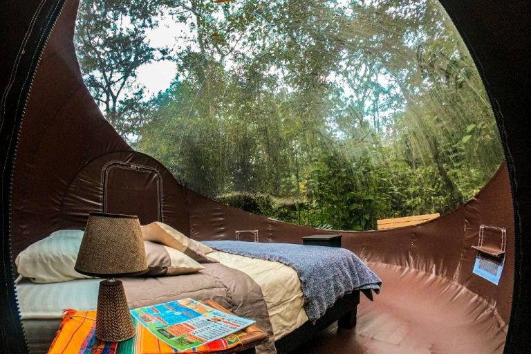 Mindo River Glamping, Mindo, Ecuador 1