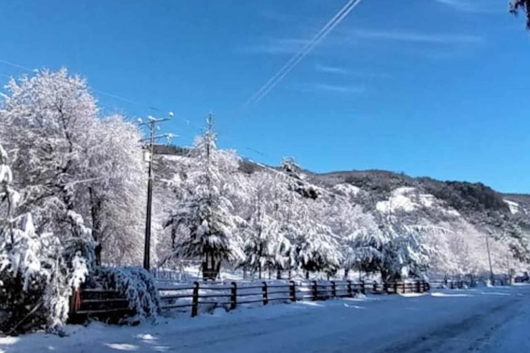 Montaña Viva Lodge, Region Ñuble, Chile 2