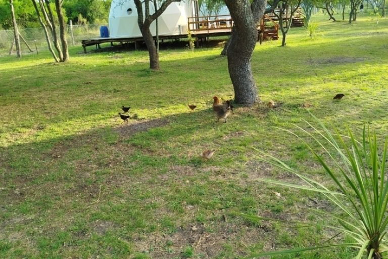 Ñae Guazú, Colon, Entre Rios