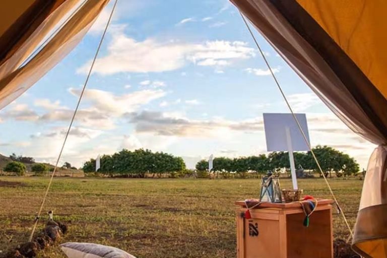 Nomad Camp, San Pedro de Atacama, Chile 3