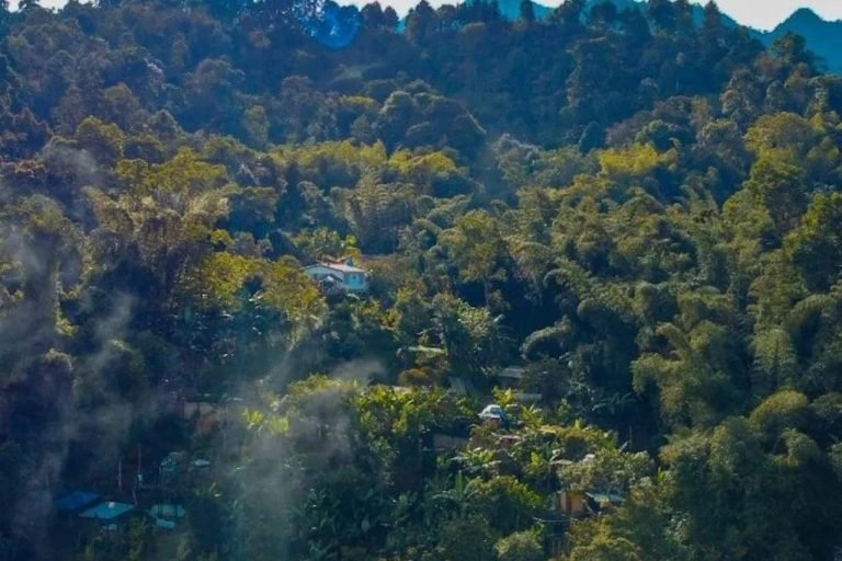 Paraiso Glamping, La Vega, Cundiamarca 5