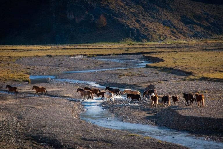 Patagonia Eco Domes, El Chaltén, Santa Cruz 1