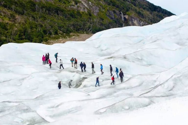 Pristine Luxury Camp, EL Calafate, Santa Cruz 5