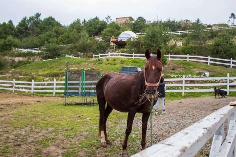 Rancho Emma Rosa, Cuenca, Ecuador 7