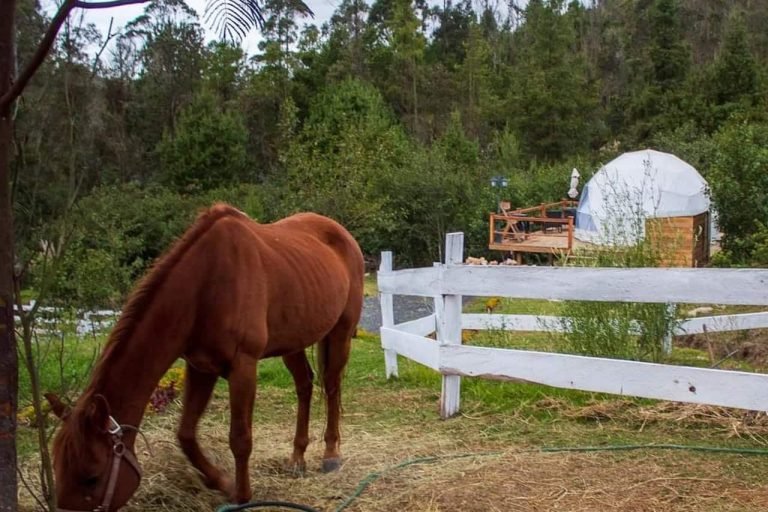 Rancho Emma Rosa, Cuenca, Ecuador 8