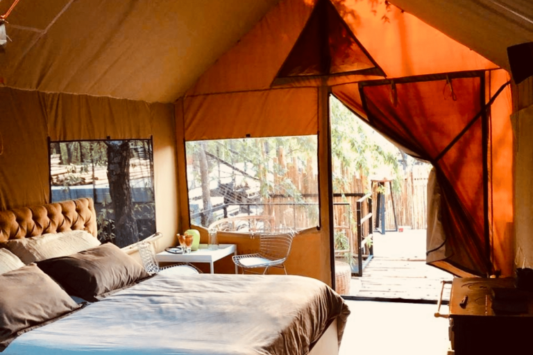 Refugio 31 carpa interior 2