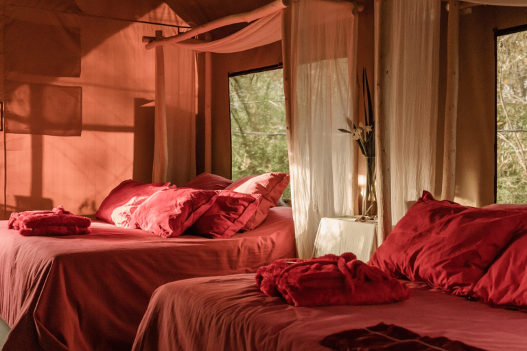 Refugio 31 carpa interior