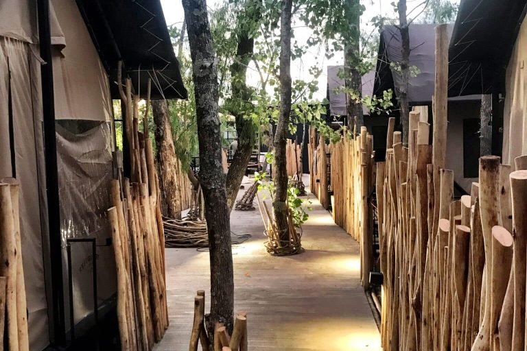 {"cameraType":"Wide","macroEnabled":false,"qualityMode":2,"deviceTilt":0.0043062408778329342,"customExposureMode":0,"extendedExposure":false,"whiteBalanceProgram":0,"cameraPosition":1,"focusMode":0}