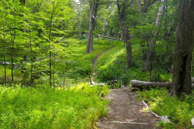 Refugio Newmayer, Valle del Challhuaco, Rio Negro 2-min