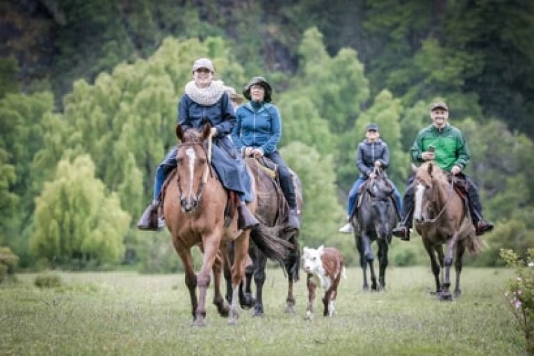 Río Manso Camp, Bariloche 8
