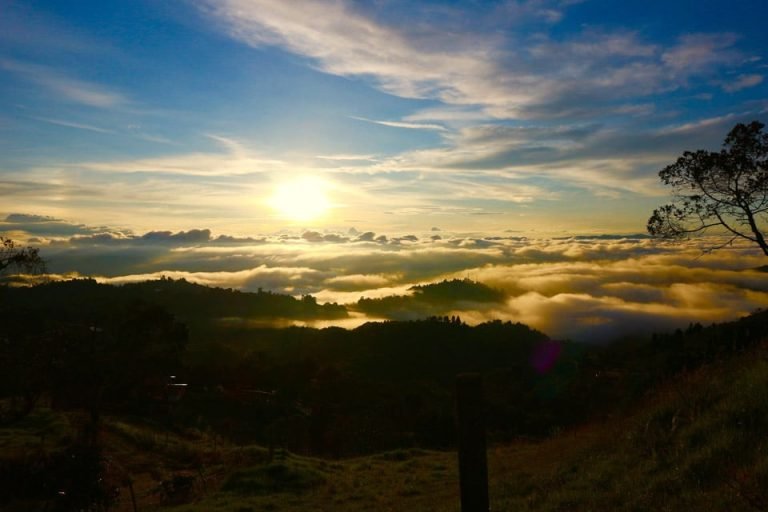 Salvaje Glamping. Santa Elena, Colombia 3