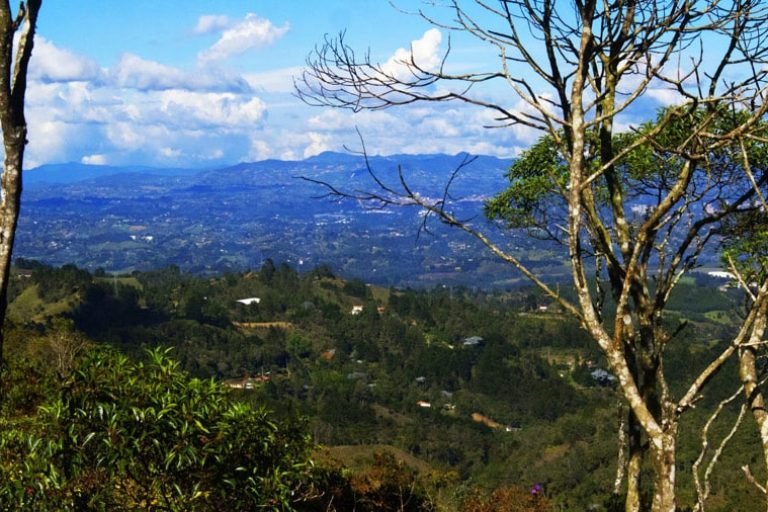Salvaje Glamping. Santa Elena, Colombia 4
