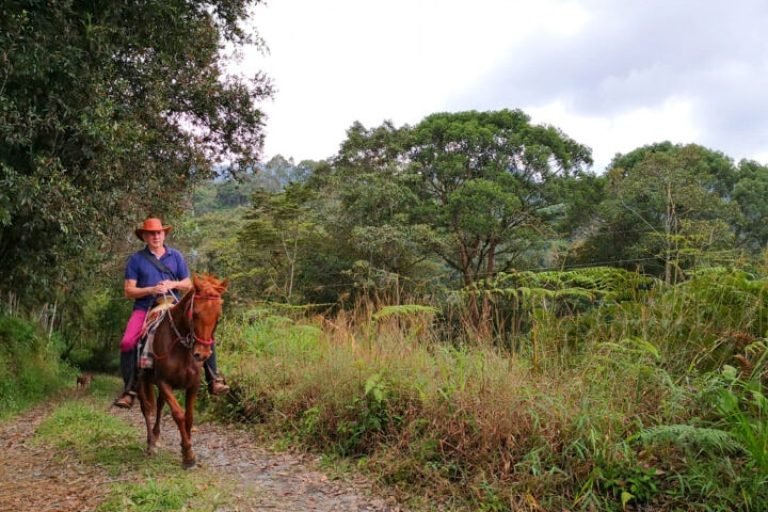 Samana Ecohabs, Supatá, Cundinamarca 4