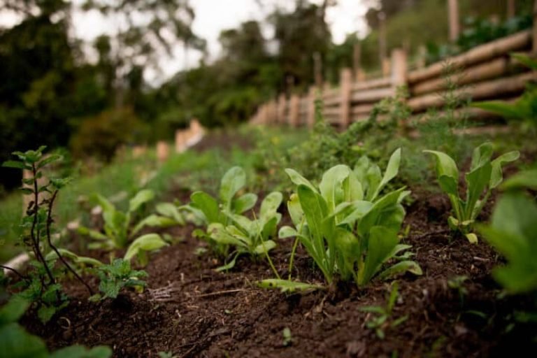 Samana Ecohabs, Supatá, Cundinamarca 6
