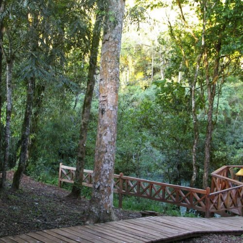 Glamping Tamanakuna