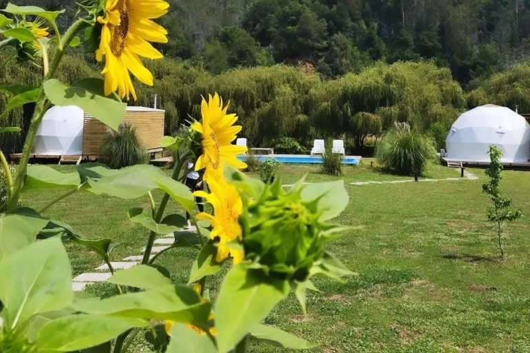 Terrazas & Lodge Patagual, Bio Bio, Chile 1