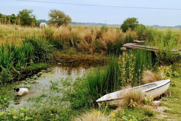 Wayra Wasi, Zárate, Buenos Aires 2
