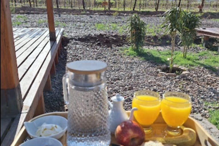 Desert Camp, Fiambalá, Catamarca