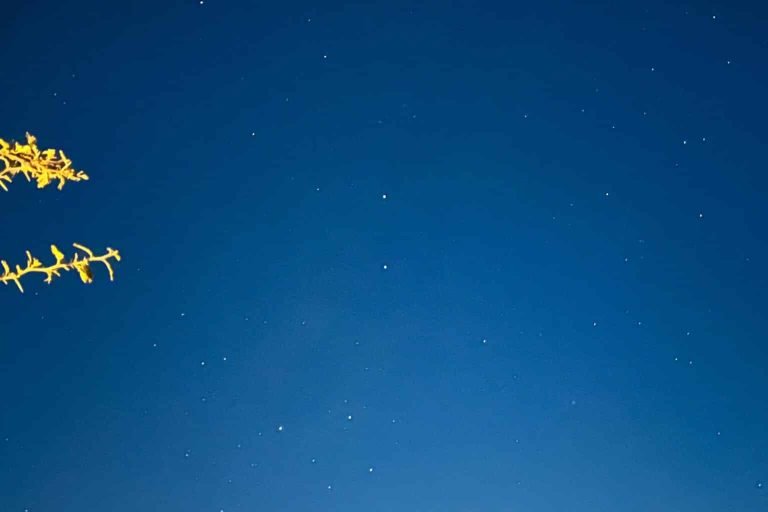 glamping zen noche 2